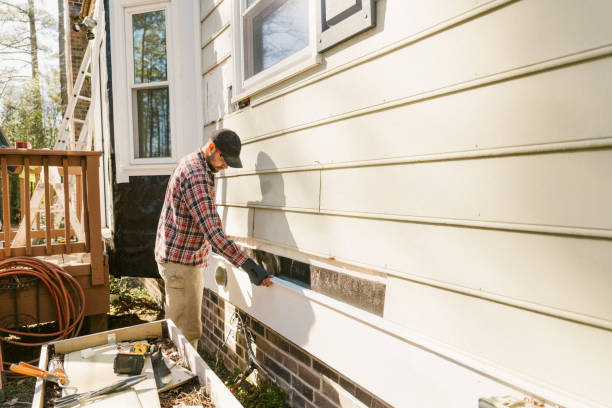 Top rated local Siding Replacement specialists in Glenwood, MN